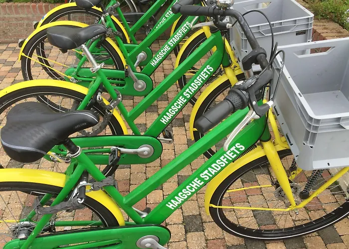 Aquarius 3* 헤이그